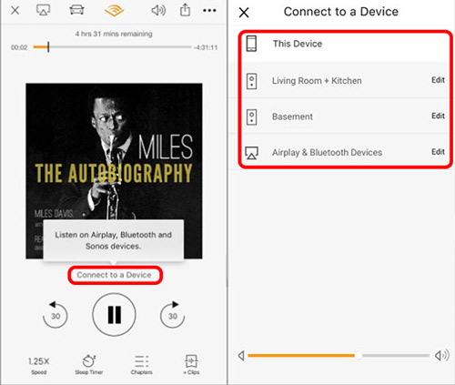 Audible 앱을 사용하는 Sonos