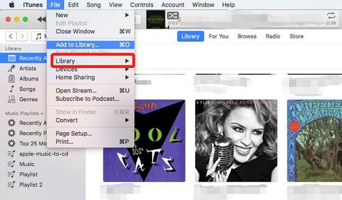 spotify to itunes converter
