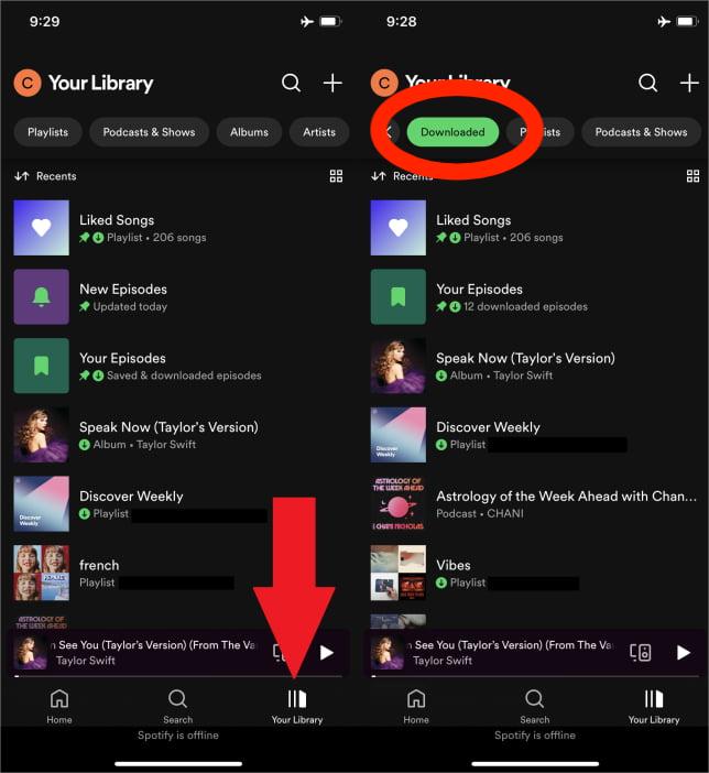 Remove Playlists From Downloads