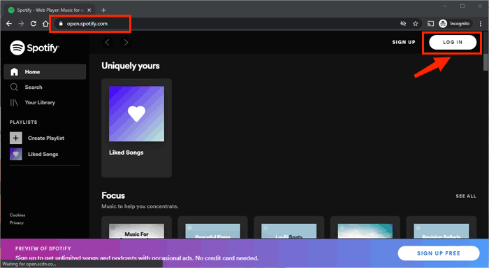 登录 Spotify 网站