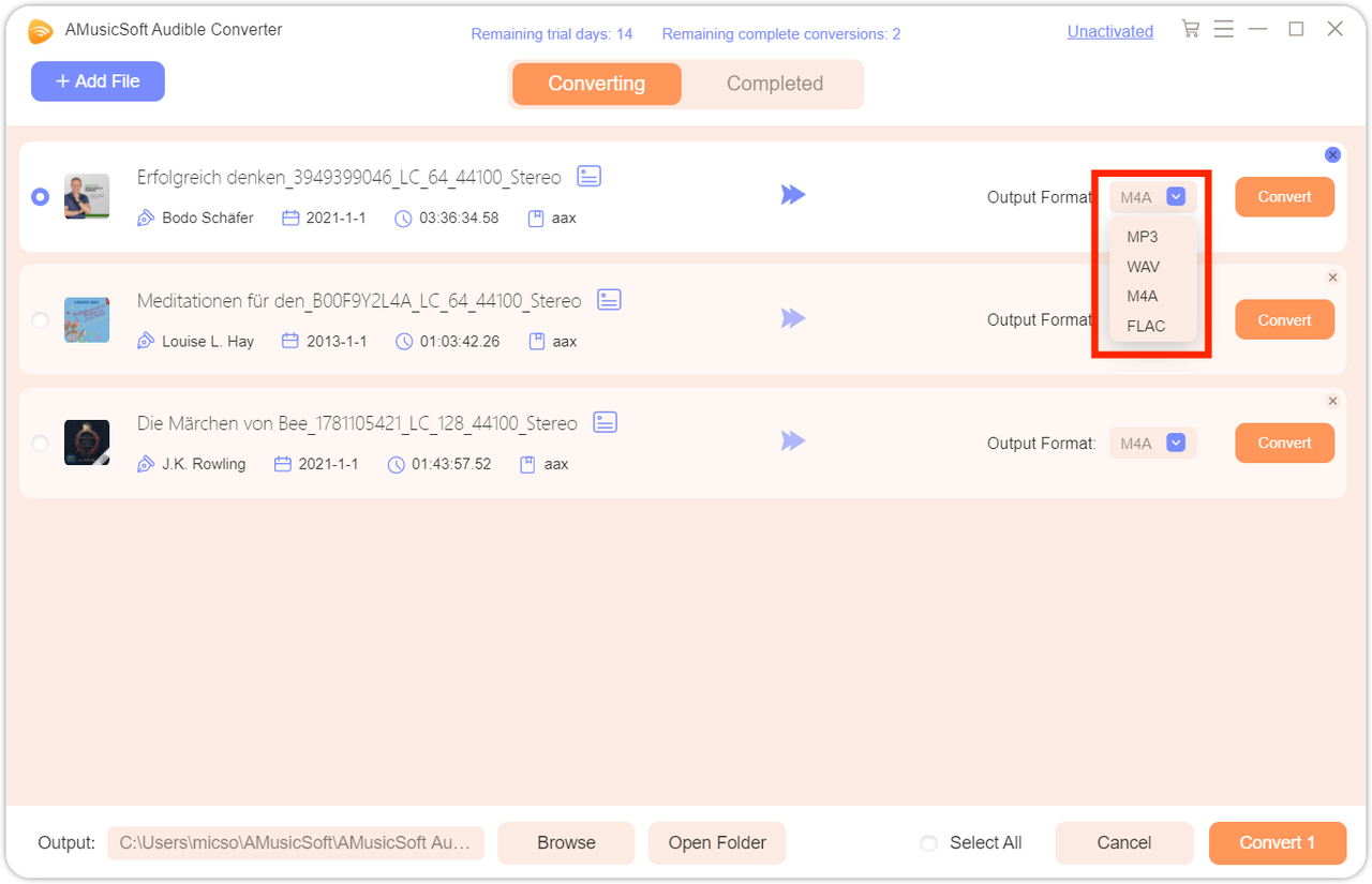 Customize Output Settings You Want