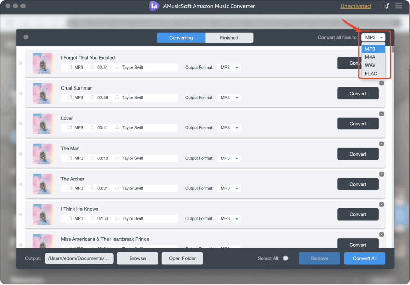 Personalize as configurações de saída que você deseja converter