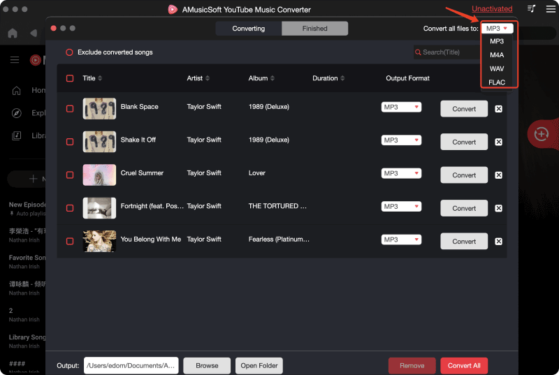 Step 2. Choose Output Format